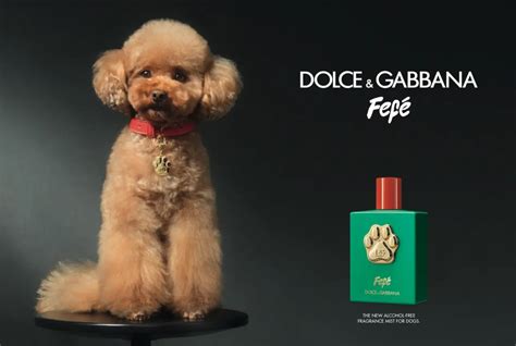 fefe perfume for dogs.